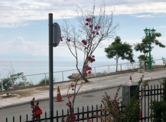 Nea Kallikratia, Halkidiki, Greece
